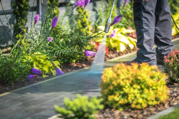 Best Gutter Cleaning  in Berwyn, PA